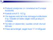 Linnud talvel #29