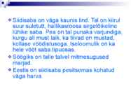 Linnud talvel #33