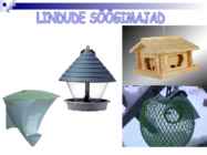 Linnud talvel #40