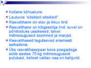 Linnud talvel #5