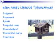 Linnud talvel #42