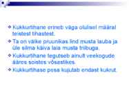 Linnud talvel #9