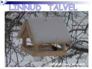 Linnud talvel