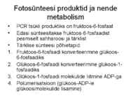 FOTOSÜNTEESI KEEMIA-ettekanne #12