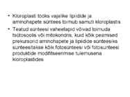 FOTOSÜNTEESI KEEMIA-ettekanne #13