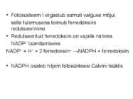 FOTOSÜNTEESI KEEMIA-ettekanne #5