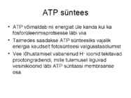 FOTOSÜNTEESI KEEMIA-ettekanne #7