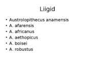Australopiteekus #3
