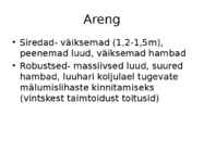 Australopiteekus #5