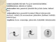 PacoJet jäätise- ja sorbeemasin #4