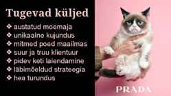 Prada SWOT analüüs tekst #4