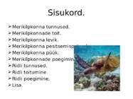 Merikilpkonnad #2