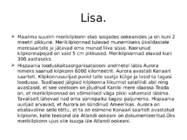 Merikilpkonnad #12