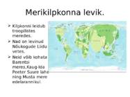 Merikilpkonnad #5