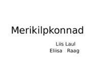 Merikilpkonnad
