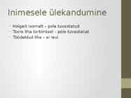 Veiste enzootiline leukoos #13