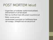 Veiste enzootiline leukoos #5