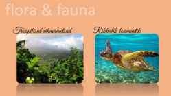 Hawaii saared vs Kanaari saared #7