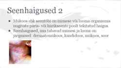 Seened #11