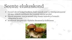 Seened #3