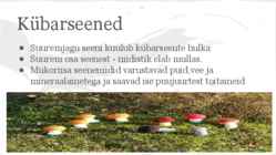 Seened #4