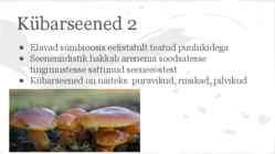 Seened #5