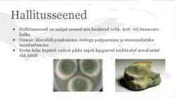 Seened #6