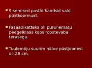 Maailma Kaubanduskeskus #8