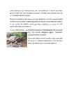 Galapagose saared #2
