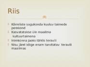 Riisi ajalugu ja kasvatamine #2
