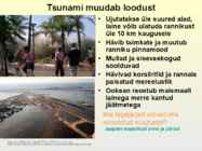 Maavarinad #18