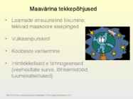 Maavarinad #3