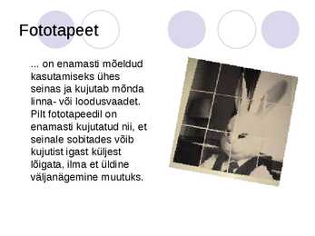 Seinad #13