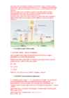 KESKKONNAFÜÜSIKA KORDAMISKÜSIMUSED 2014 sügis #5