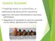 Kalapüügiseadus #2