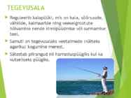 Kalapüügiseadus #3