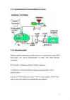 Biodiisel #6