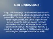 Väike nõid #8