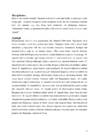 Kitarri referaat #2