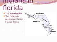 Florida presentatsioon #7