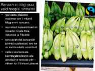 Kas tead-et meie hommikusöök sõltub pea poolest maailmast #11