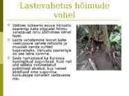Inimeseõpetuse kursus-Perekonnaõpetus- #48