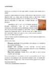 Aaderdamine ja marmoriseerimine #3