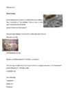 Aaderdamine ja marmoriseerimine #5