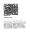 Plankton #6