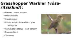 Birds of Estonia #5