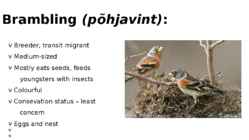 Birds of Estonia #6