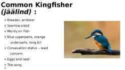 Birds of Estonia #7
