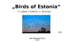 Birds of Estonia
