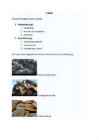 Mustad metallid #5